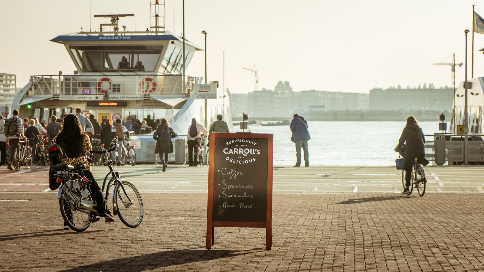 Celebrate - Carroll's