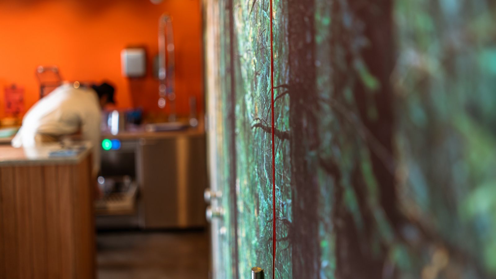 Celebrate - Carroll's